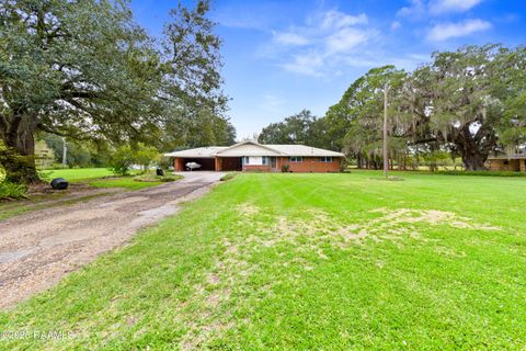 Photo of 1060 Dupuis Road, Breaux Bridge, LA 70517 (MLS # 2500006334)