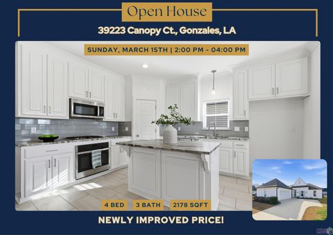 Photo of 39223 Canopy Ct Ct, Gonzales, LA 70737 (MLS # BR2026002607)