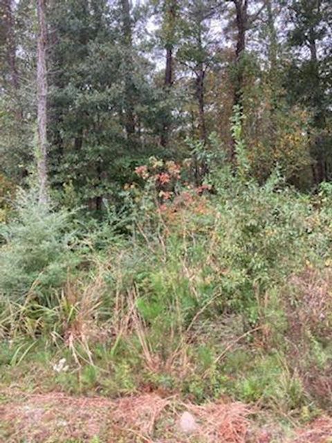 Photo of 18625 E La 22 Highway, Ponchatoula, LA 70454 (MLS # NO2276136)