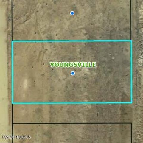 Photo of 116 Cypress Lake Drive, Youngsville, LA 70592 (MLS # 2600002155)