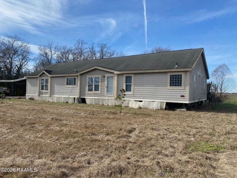 Photo of 175 Saint James Avenue, Opelousas, LA 70570 (MLS # 2600000630)