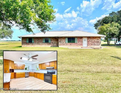 Photo of 17129 Alice Road, Rayne, LA 70578 (MLS # 2500003865)