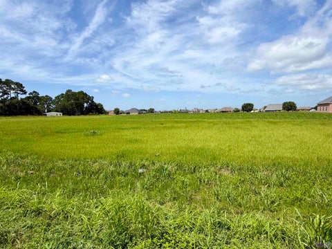 Photo of 2866 / 2878 Hwy 311, Schriever, LA 70395 (MLS # BY2026011491)