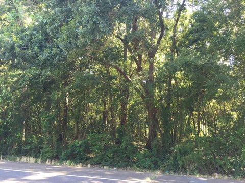 Photo of 5000 W Old Spanish Trail, New Iberia, LA 70560 (MLS # 16007040)