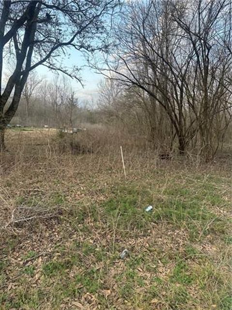 Photo of 0 River Lane, Marksville, LA 71351 (MLS # CN2543095)