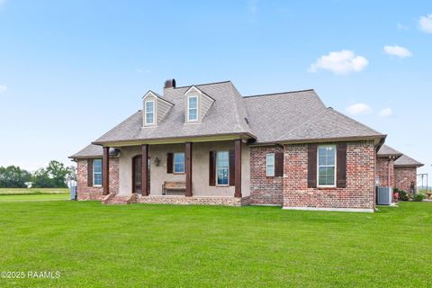Photo of 119 Olinger Lane, Rayne, LA 70578 (MLS # 2500003250)