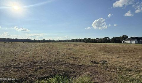 Photo of Mamou, LA 70554 (MLS # 2500005829)