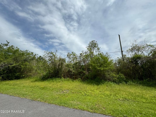 TBD HWY 182, OPELOUSAS, LA 70570 - Image 4aeab4263ddfebbb5d564cc3a848ad32/1829370222