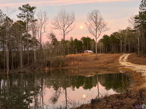 Photo of 27196 C O Crockett Road Rd, Angie, LA 70426 (MLS # BR2026006017)