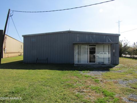 Photo of 721 S Lewis Street, New Iberia, LA 70560 (MLS # 2500006192)