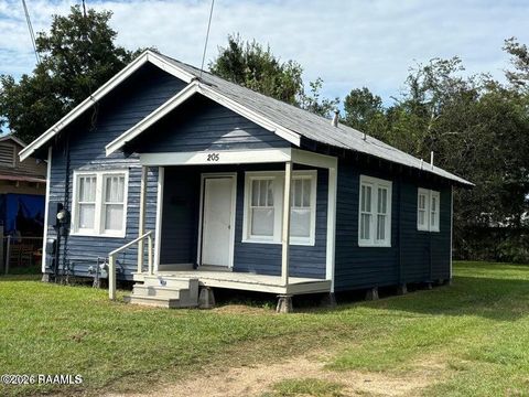 Photo of 205 Haig Street, Lafayette, LA 70501 (MLS # 2600000269)