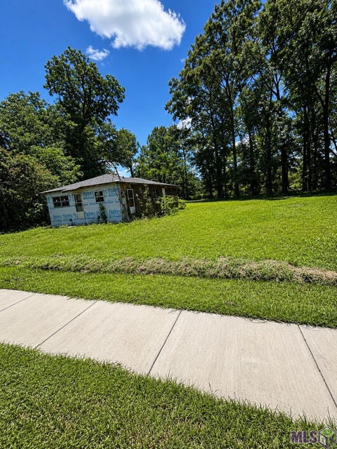Photo of 1770 Jake Ln LN, Sunshine, LA 70780 (MLS # BR2026013667)