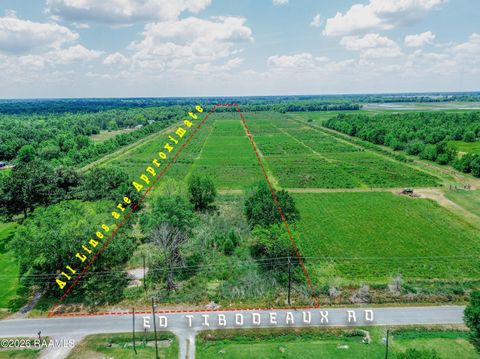 Photo of 1427 Ed Thibodeaux Road, Church Point, LA 70525 (MLS # 2600003920)