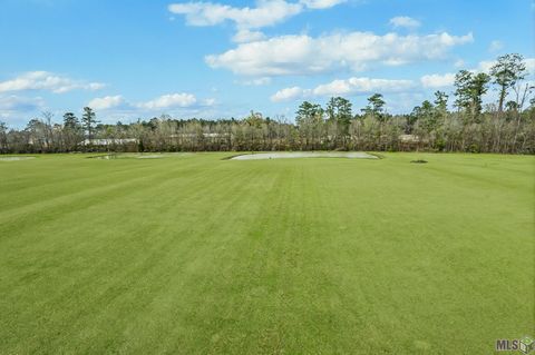 Photo of 21293 Mayberry Lane Ln, Livingston, LA 70754 (MLS # BR2026003485)