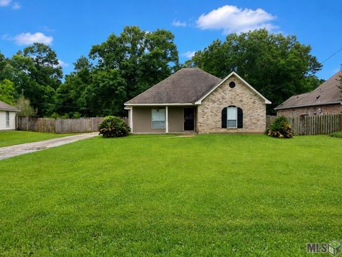 Photo of 13176 Brian Park Dr Dr, Walker, LA 70785 (MLS # BR2026008431)