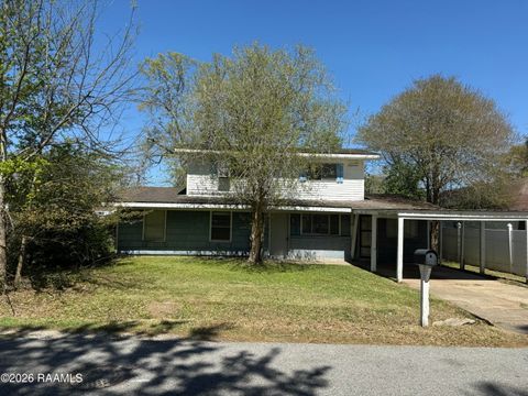 Photo of 111 Racine Drive, Lafayette, LA 70501 (MLS # 2600002178)