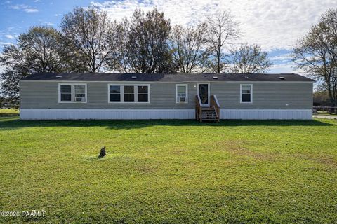Photo of 8333 Hudson Road, Maurice, LA 70555 (MLS # 2500006993)