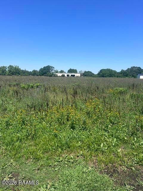 Photo of Tbd Drake Elm Lane, New Iberia, LA 70563 (MLS # 2600004295)