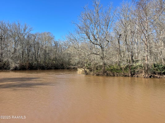 TRACT 4 S LEVEE RD, KROTZ SPRINGS, LA 70750 - Image 5b3b454519d19507fcbb224fff27a3a5/3126912837