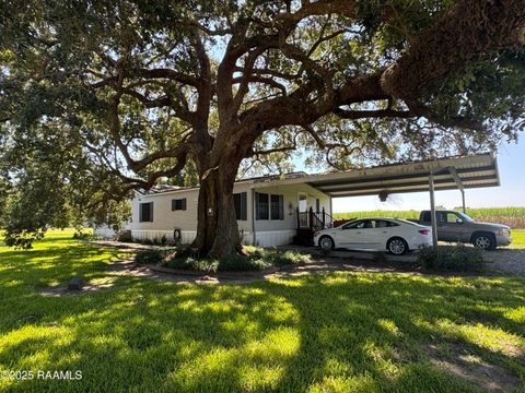 Photo of 2431 Olds Road Road, Erath, LA 70533 (MLS # 2500003755)