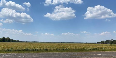 Photo of Tbd Johnson Highway, Eunice, LA 70535 (MLS # 23007653)