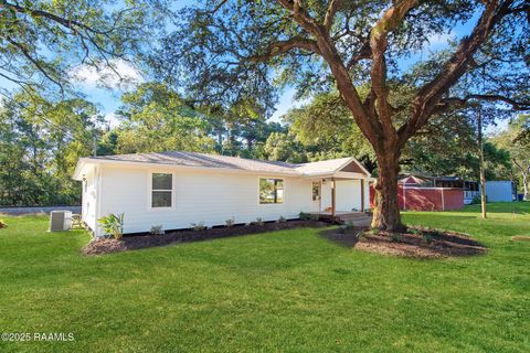 Photo of 316 Lemon Tree Road, Crowley, LA 70526 (MLS # 2500004449)