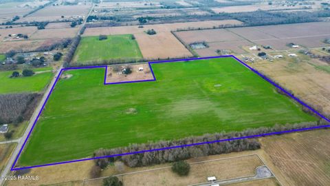 MLS: 25001223