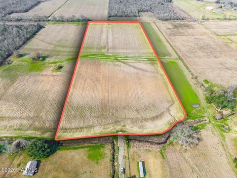 Photo of Tbd James Street, Maurice, LA 70555 (MLS # 2600001072)