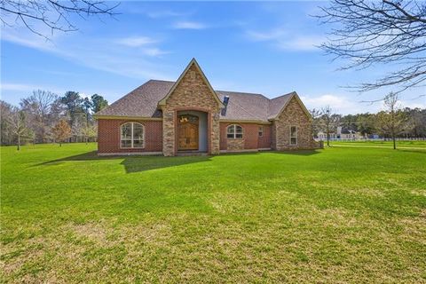 Photo of 42587 Pleasant Ridge Ext Road, Ponchatoula, LA 70454 (MLS # NO2546193)
