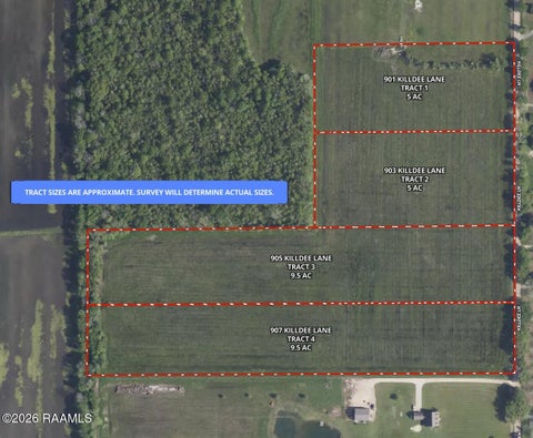 Photo of 907 Killdee Lane, Duson, LA 70529 (MLS # 2600008638)