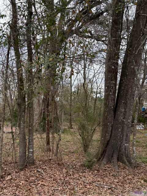 Photo of TBD Amite River Rd, Baton Rouge, LA 70817 (MLS # BR2026003564)
