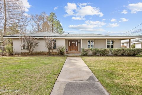 Photo of 223 W Port Street, St. Martinville, LA 70582 (MLS # 2500004034)