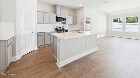 Photo of 121 Harvest Falls Drive, Broussard, LA 70518 (MLS # 2500005933)