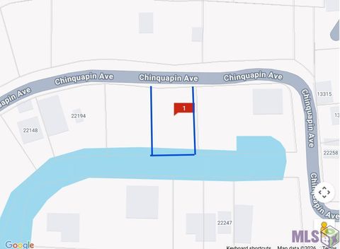Photo of 22222 Chinquapin Ave Ave, Maurepas, LA 70449 (MLS # BR2026003036)