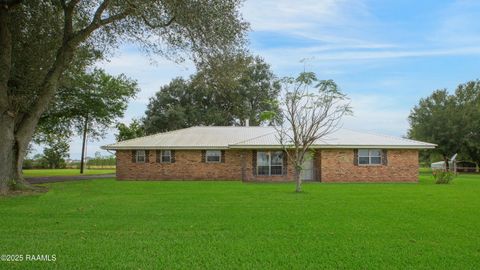 Photo of 2720 La Highway 343, Maurice, LA 70555 (MLS # 2500004105)