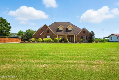 Photo of 1141 Lake Martin Road, Breaux Bridge, LA 70517 (MLS # 2500003202)