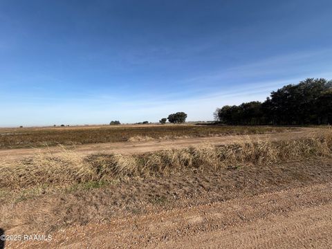 Photo of Tbd Dupont Road, Rayne, LA 70578 (MLS # 2500006308)