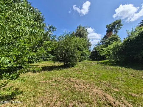 Photo of 845 E Blanchard Street, Opelousas, LA 70570 (MLS # 2600005838)