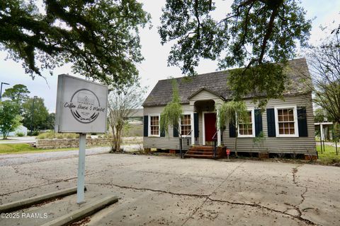 Photo of 1317 N Parkerson Avenue, Crowley, LA 70526 (MLS # 2500006121)