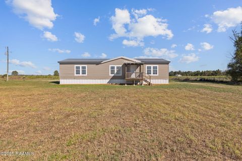 Photo of 469 Chelsie Road, Opelousas, LA 70570 (MLS # 2500005358)