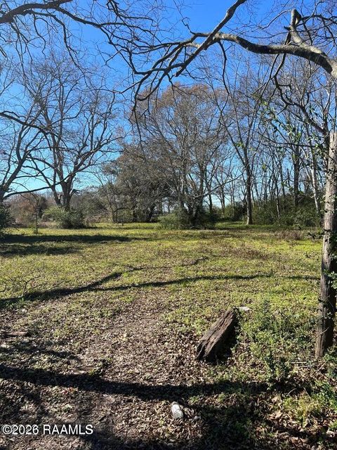 Photo of 700 Hog Alley, Rayne, LA 70578 (MLS # 2600003896)
