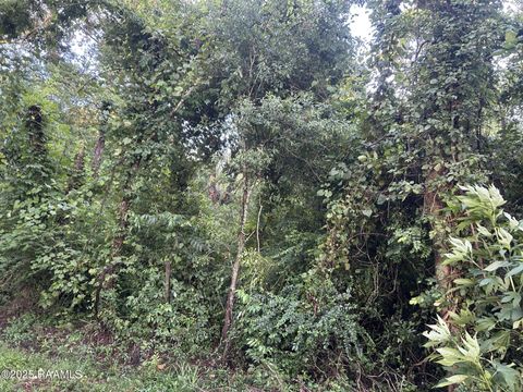 Photo of Tbd Bienville, Ville Platte, LA 70586 (MLS # 2500006482)