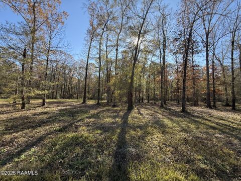 Photo of Tbd Juniper Lane, Ville Platte, LA 70586 (MLS # 2500006288)
