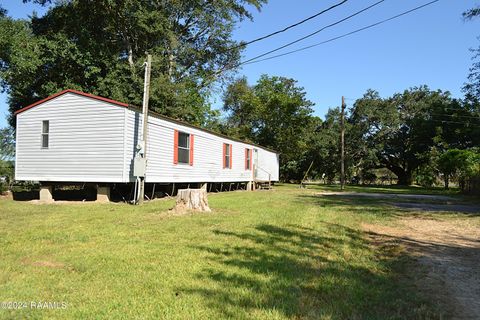 Photo of 165 Desiree Road, Opelousas, LA 70570 (MLS # 2500004344)