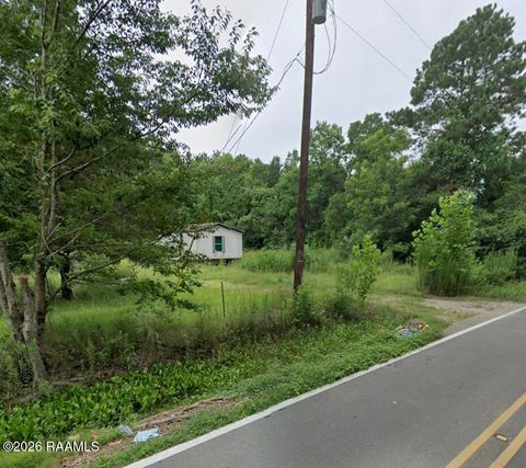 Photo of 1298 Old Park Road, Ville Platte, LA 70586 (MLS # 2500007111)