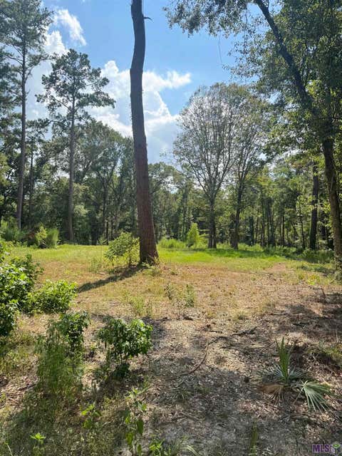 Photo of 22863 Green Acres Blvd, Denham Springs, LA 70726 (MLS # BR2026014272)