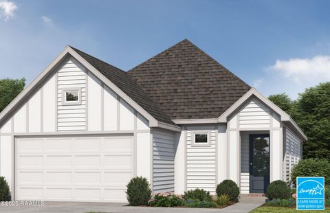 Photo of 300 Long Creek Lane, Scott, LA 70583 (MLS # 2500006324)