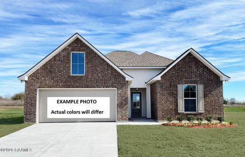 Photo of 123 Harper Drive, Maurice, LA 70555 (MLS # 2600005945)