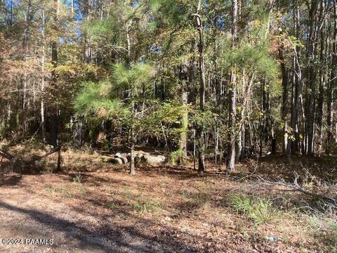 Photo of Landry Lane, Eunice, LA 70535 (MLS # 24000027)