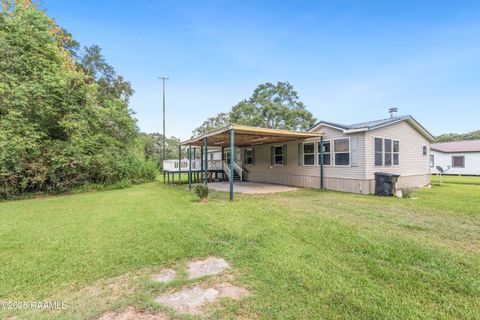 Photo of 201 Sparrow Street, New Iberia, LA 70563 (MLS # 2500003808)